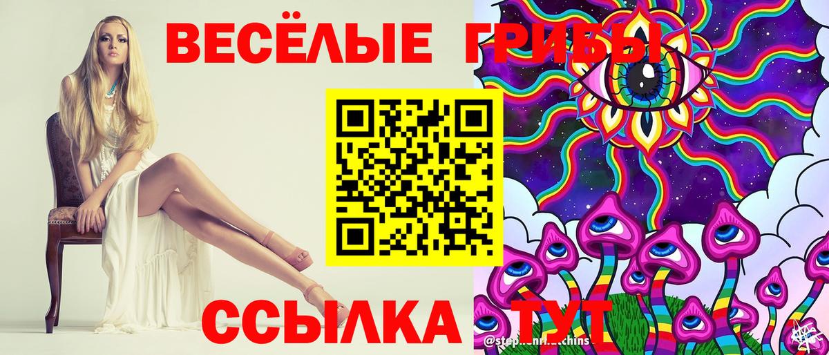 Каменск-Шахтинский  закладка  Вход с VPN  Псилоцибиновые грибы мухоморы  Галлюциногенные грибы прущие грибы 