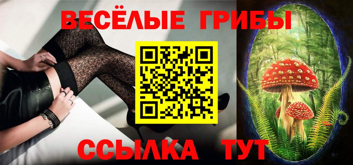 Галлюциногенные грибы Psilocybe Каменск-Шахтинский